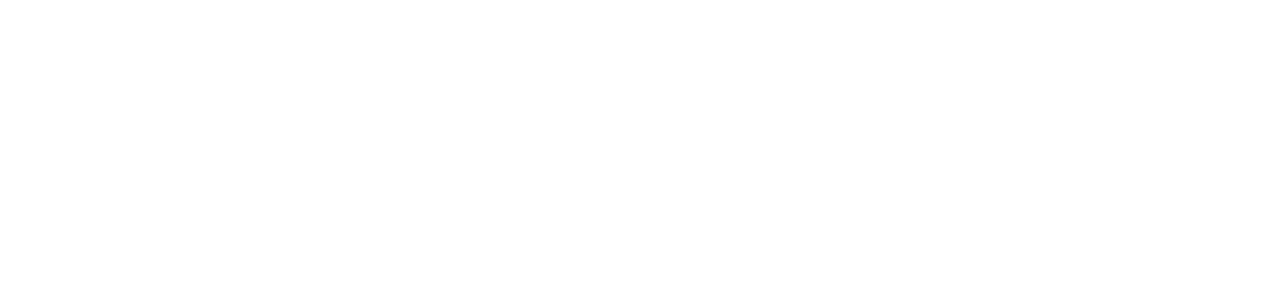 Lavi Dou Gallery