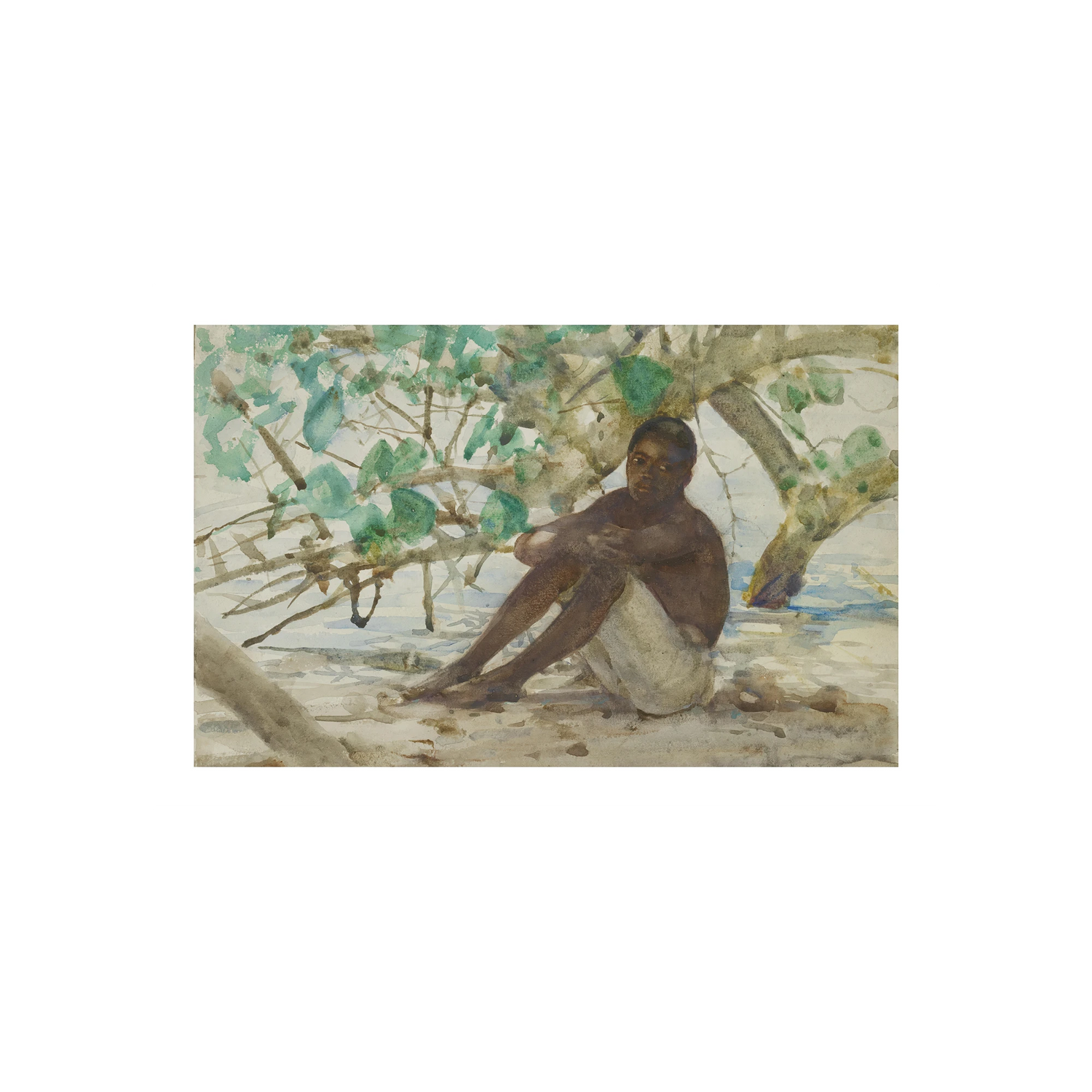 A West Indian Boy