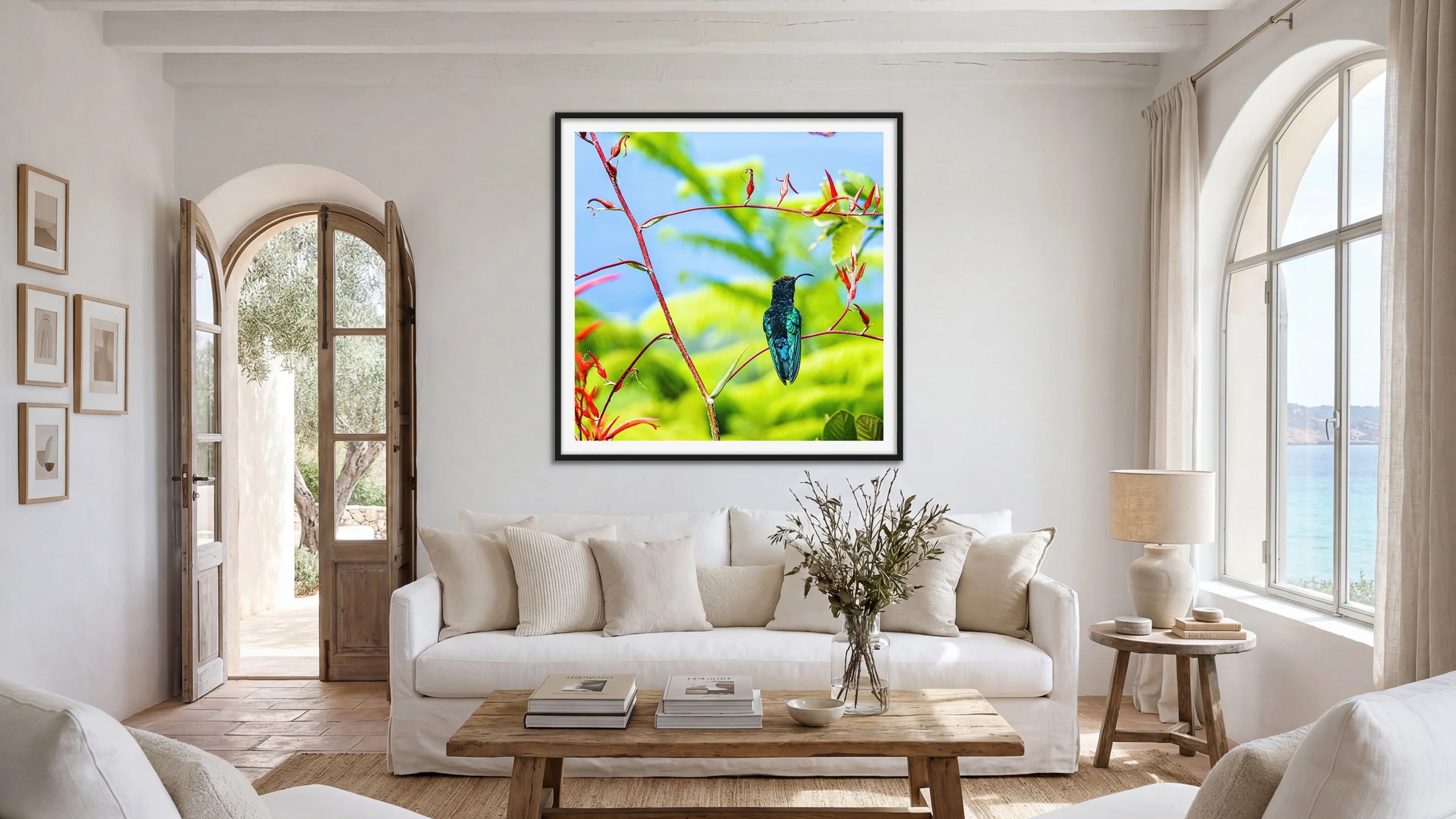 Purple-Throated Hummingbird