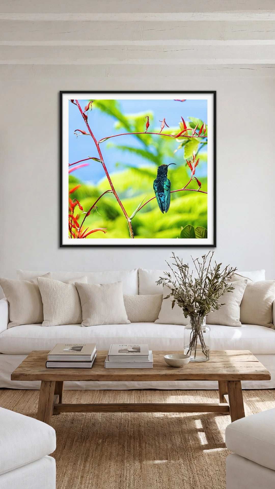 Purple-Throated Hummingbird