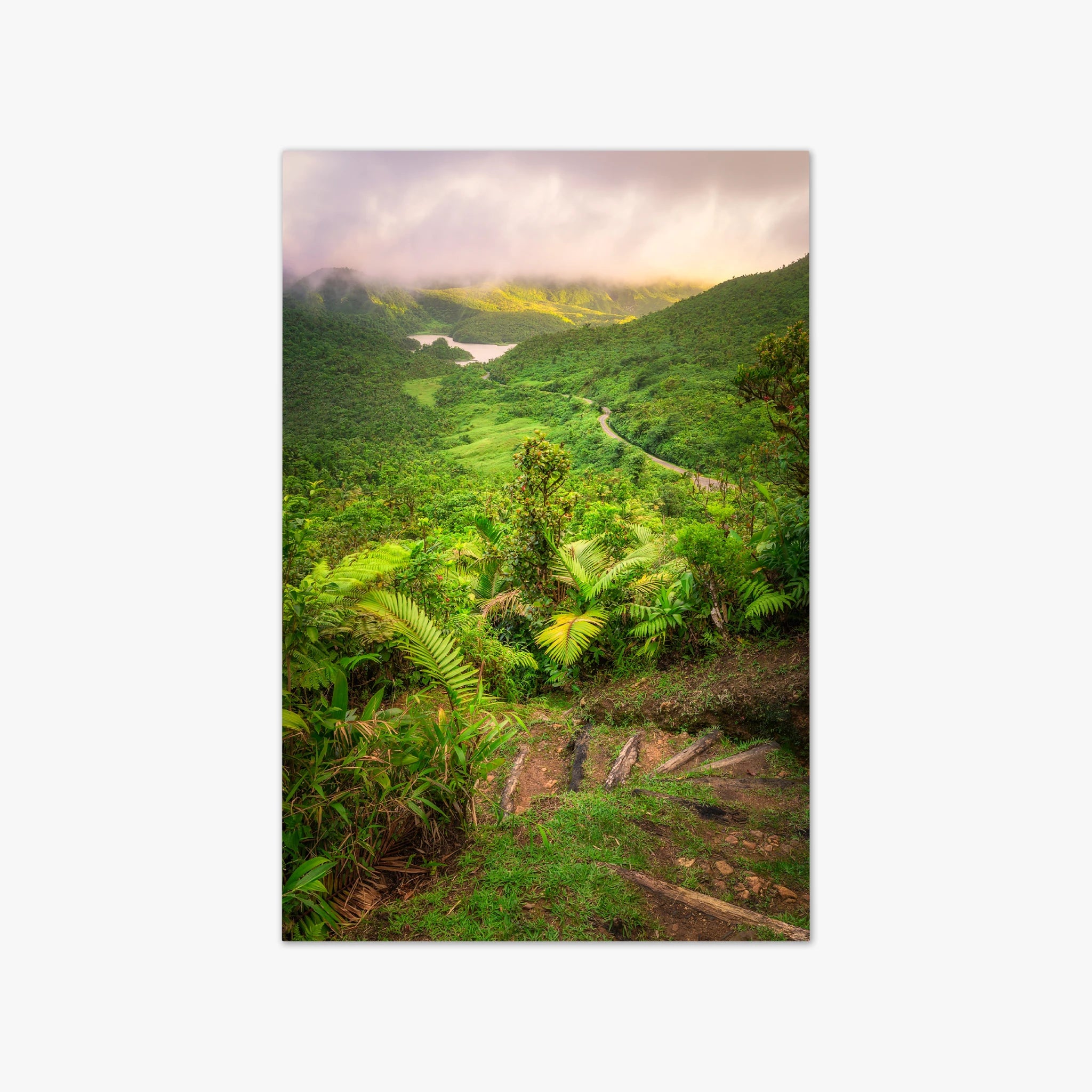 From Boeri Lake Trail