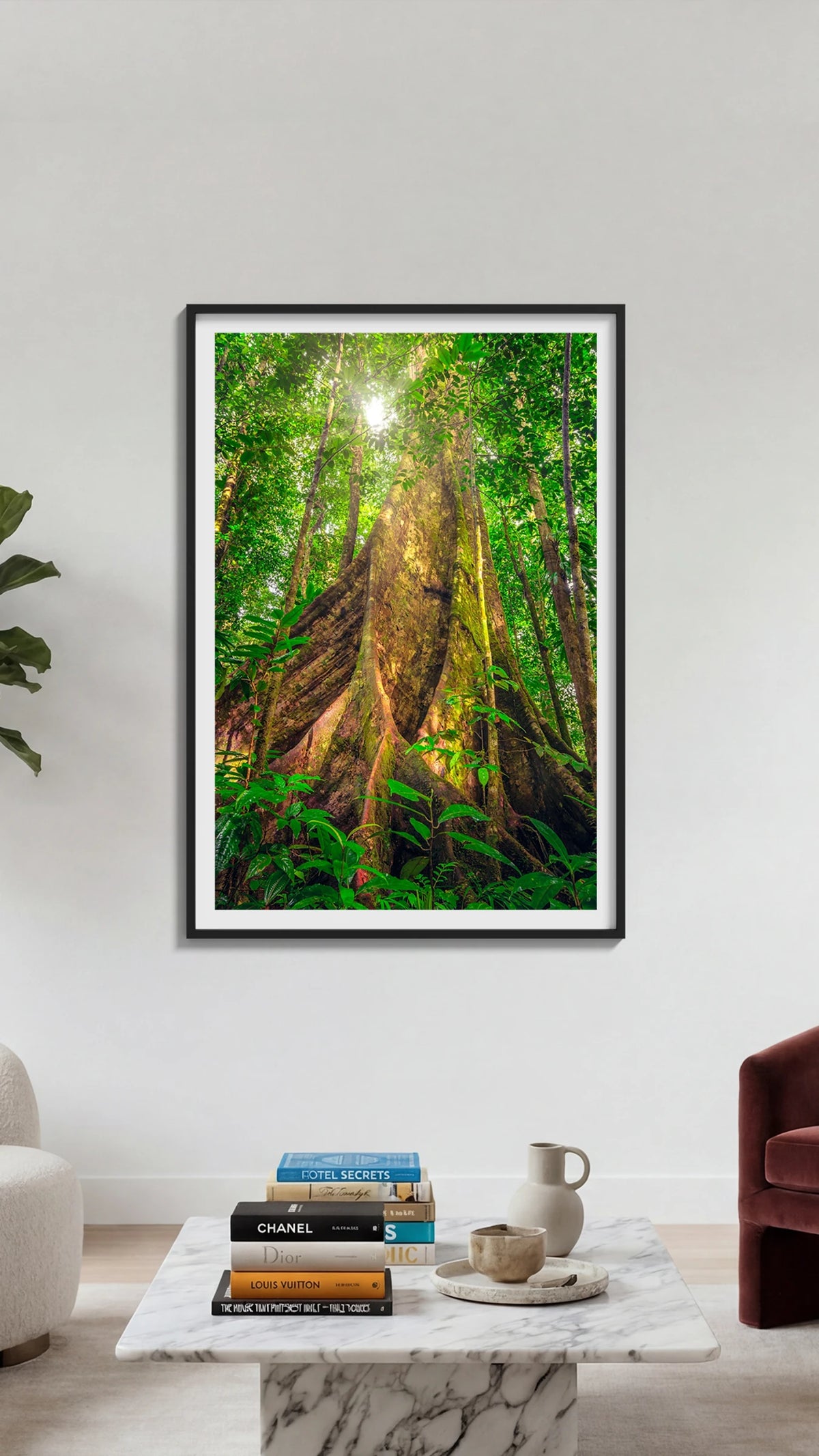 Giants of the Forest