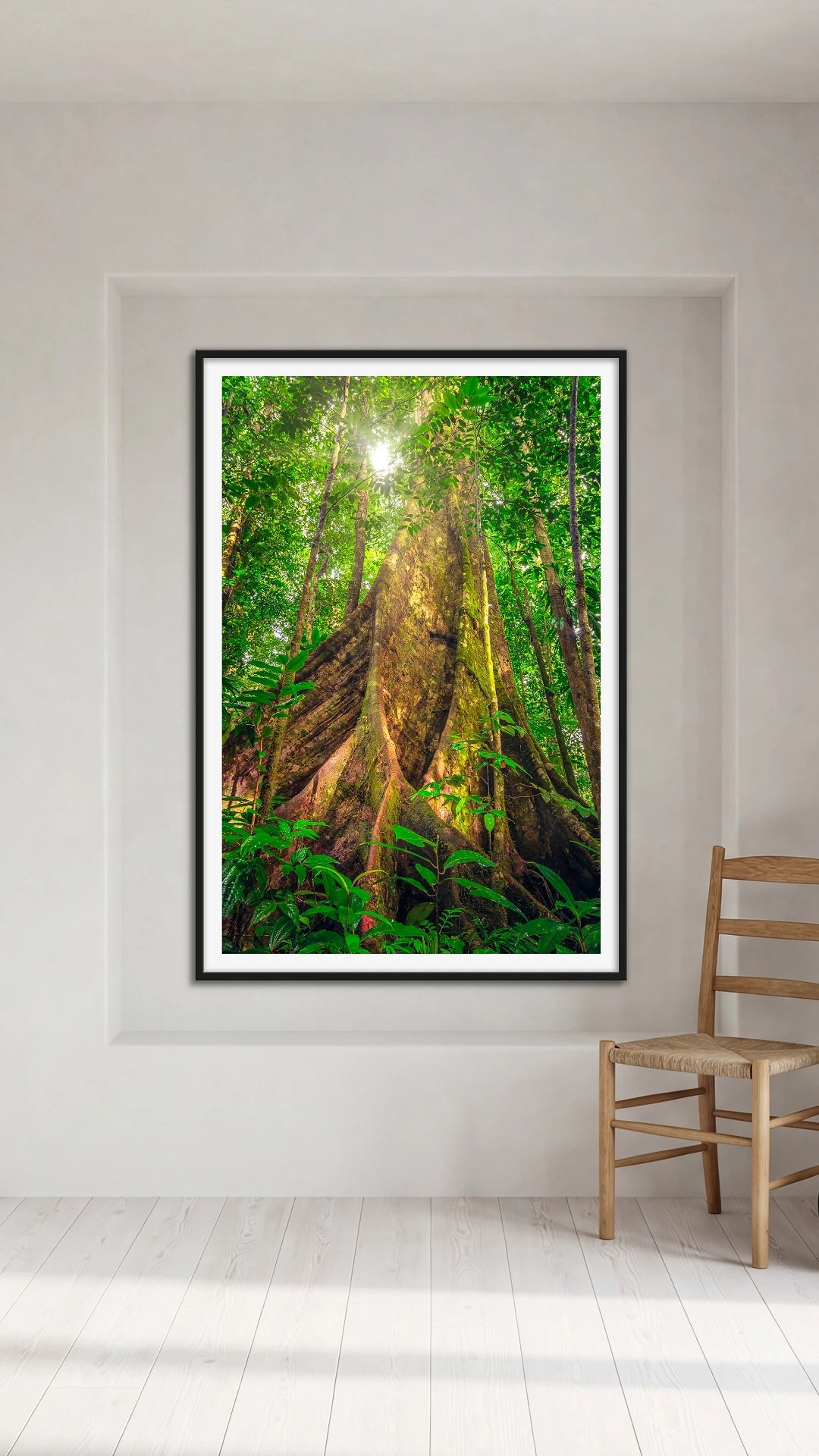 Giants of the Forest