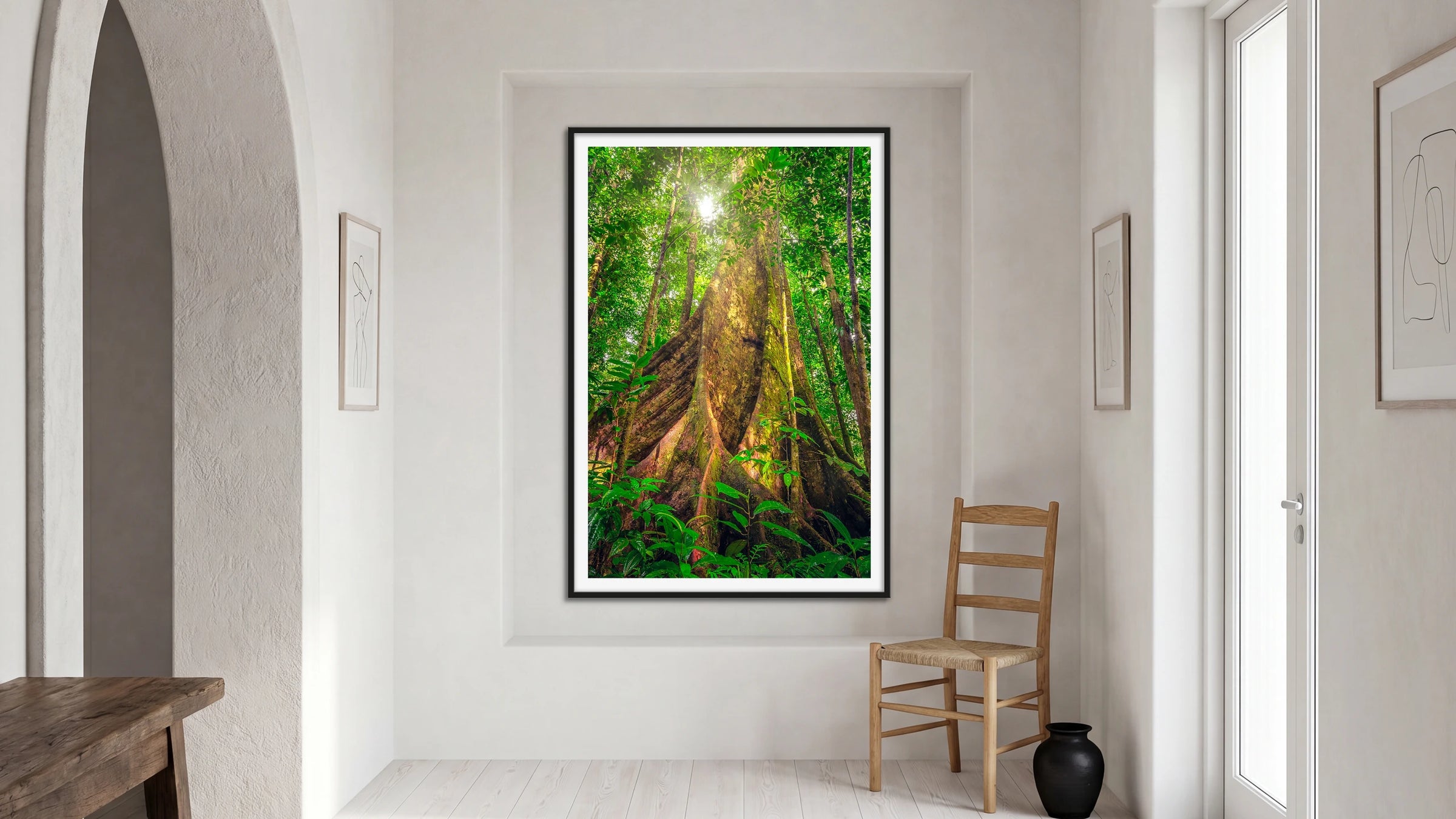 Giants of the Forest