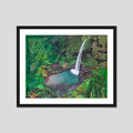 Emerald Pool