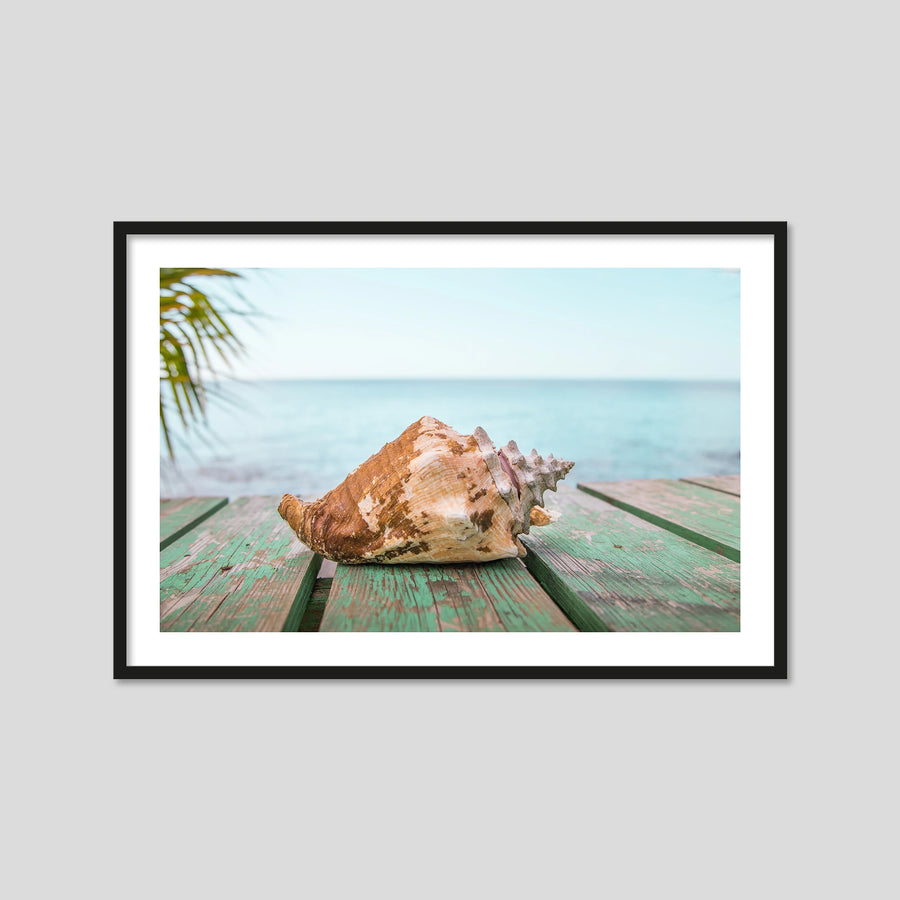 Conch
