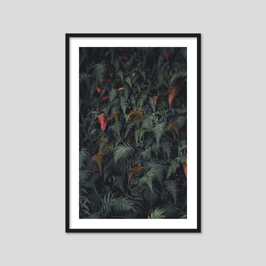 Lush (Portrait)