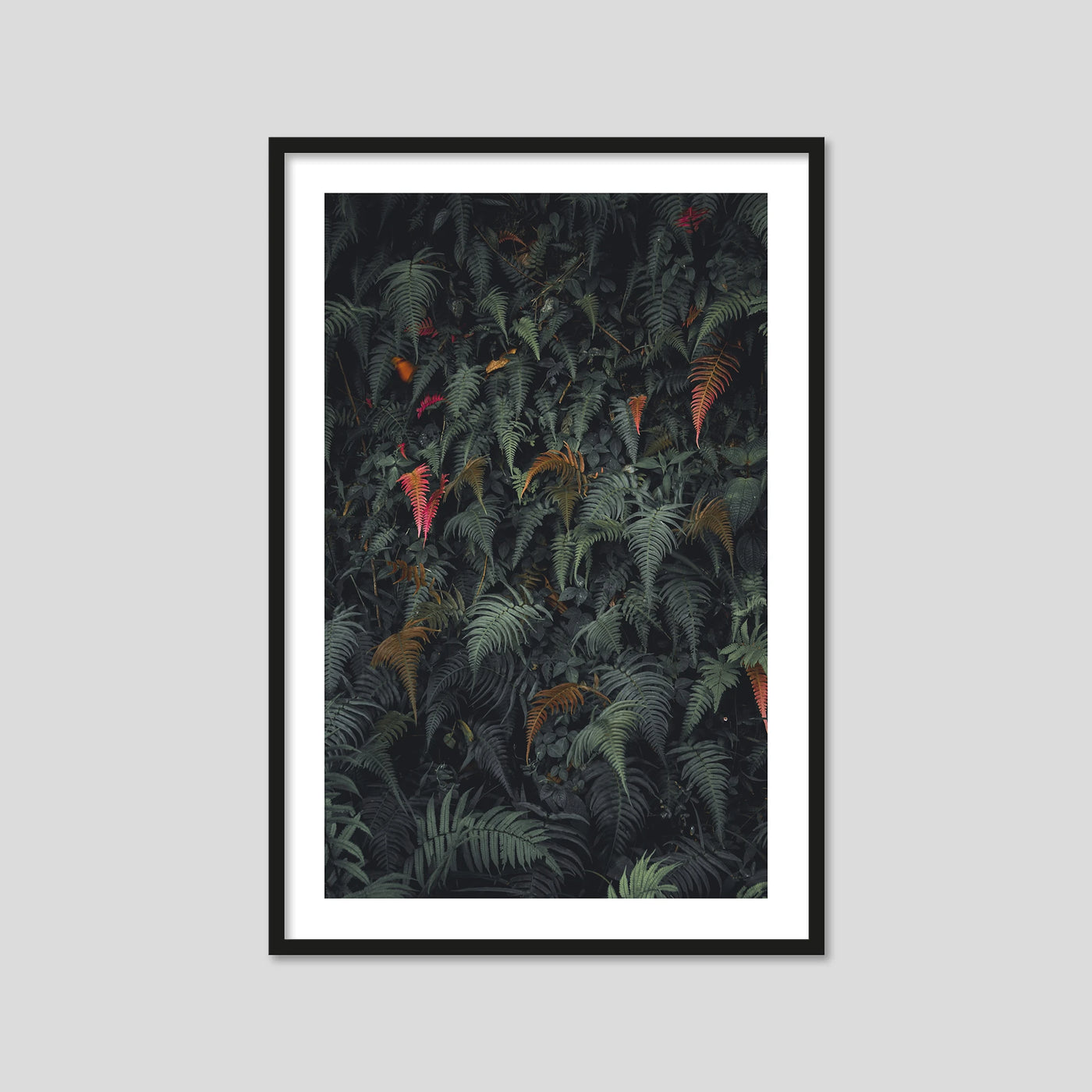 Lush (Portrait)