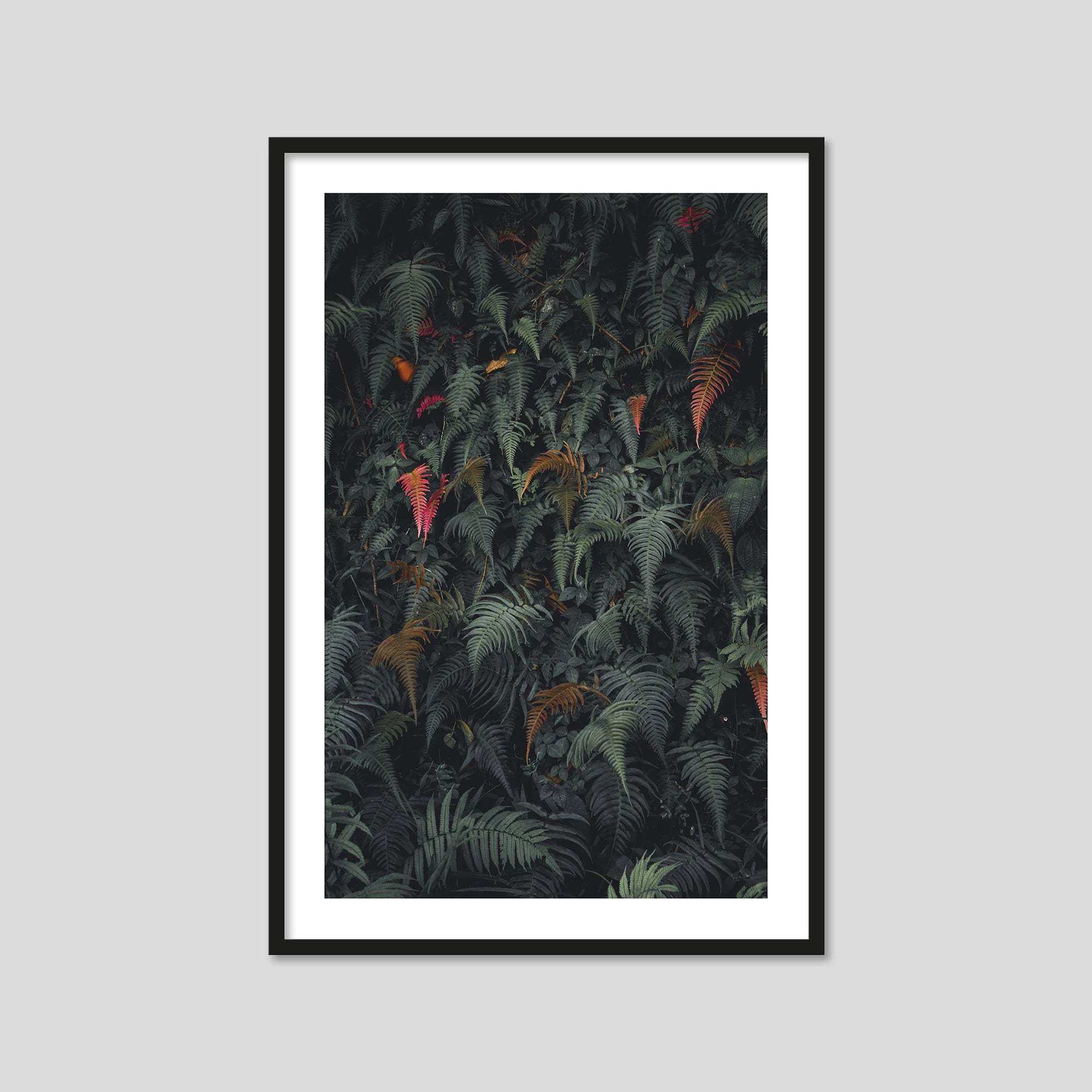 Lush (Portrait)