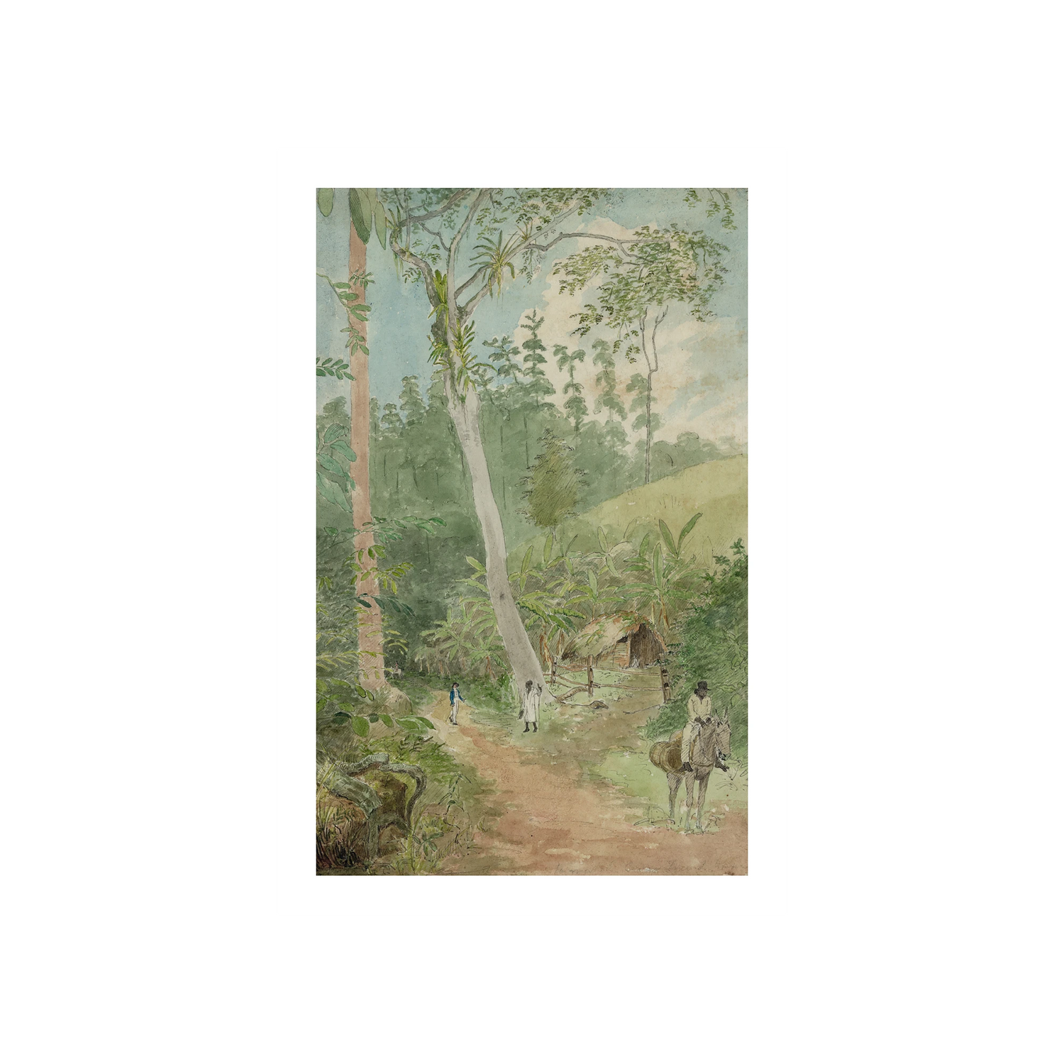 Plantain Walk – Bookkeeper – Watchman and Hut – Man With Casks of Water