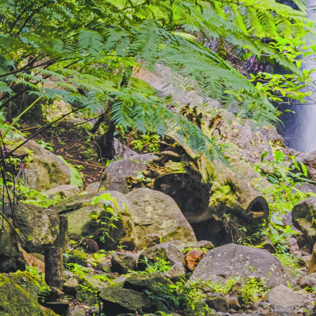 Syndicate Falls