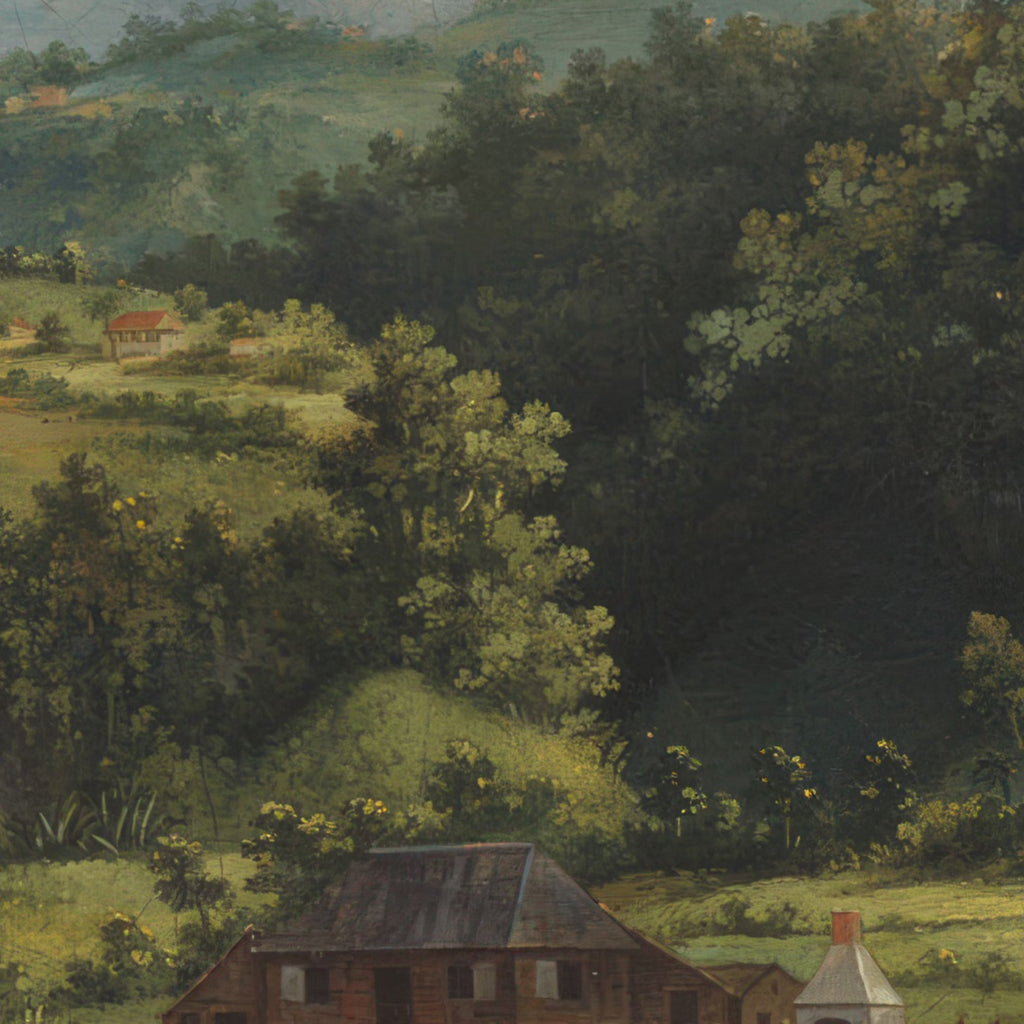View on the River Roseau, Dominica