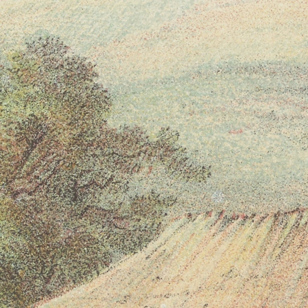 Vista de Una Vega de Tabaco