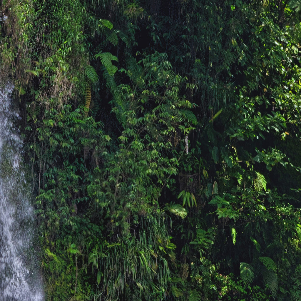 Trafalgar Falls