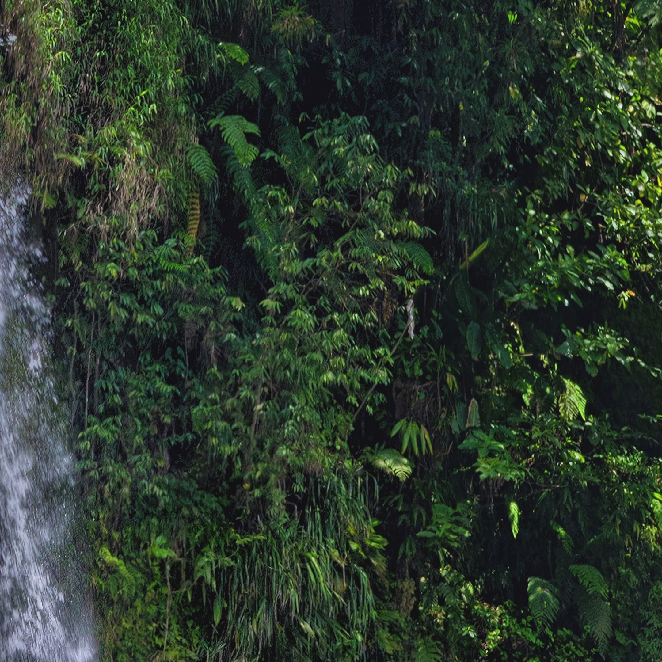Trafalgar Falls