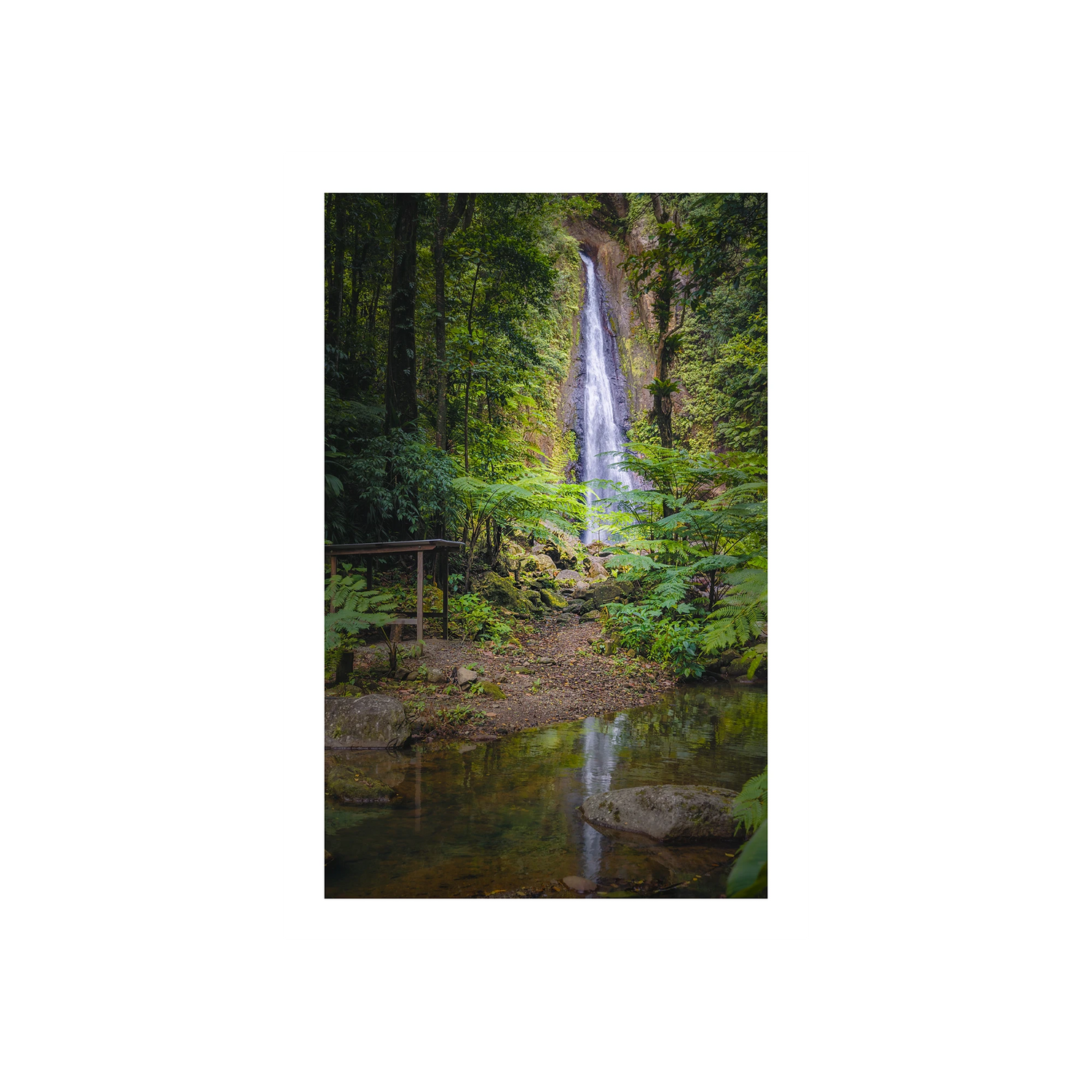 Syndicate Falls